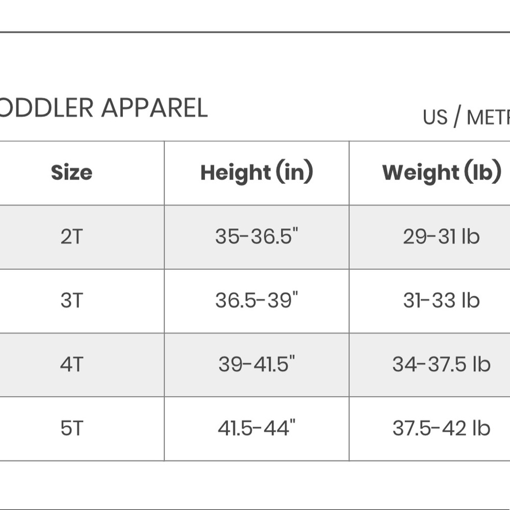 {x2Host pick} OSHKOSH B’gosh • “Dino Crusher” Graphic Tee (2T) - Picture 3 of 3
